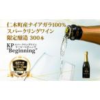 スパークリングワイン KPBeginning