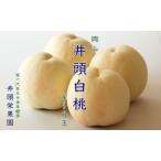ふるさと納税 桃 2026年 先行予約 井頭 白桃 4〜6玉入り 1.5kg規格箱 もも モモ 岡山県産 国産 フルーツ 果物 ギフト 井頭栄果園 岡山県瀬戸内市