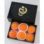 ショッピング甘平 ふるさと納税 甘平（5-6個）【2026年2月上旬から順次発送】甘平（5から6個）かんぺい [AGBA005] 愛媛県大洲市