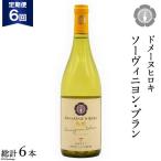 ソーヴィニヨン ブラン 750ml×1本