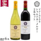 自社農園100% ワイン 白 赤 シャルドネとメルローのセット …