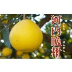 ふるさと納税 家庭用 �