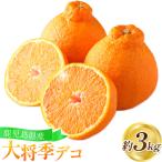 大将季 だいまさき みかん 大将季デコ 3kg