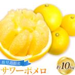 サワーポメロ 10kg