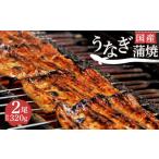 鰻蒲焼 2尾