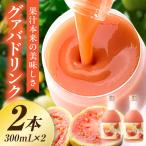 驚きの果実感 ハーフボトル グァバドリンク2本セット 300ml…