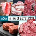白川郷 まるごと定期便 全5回 お届け 肉 づくし