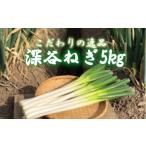 fu.... налог земля имеется Fukaya лук-батун 5kg [11218-0397] Saitama префектура Fukaya город 