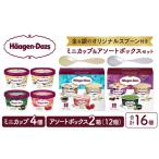 ふるさと納税 【金と銀のスプーン同梱】ハーゲンダッツアイスクリーム アソート&ミニカップ バラエティセット アイス スイーツ デザート バニ.. 北海道浜中町