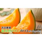 ふるさと納税 【2025年8月下旬より発送】北海道 富良野 メロン 赤肉 約1.8kg×2玉 メロン フルーツ 果物 新鮮 甘い 贈り物 ギフト 道産 ジ.. 北海道富良野市