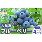 fu.... налог .. длина! крупный серия голубика 100g×4 упаковка *2026 год 5 месяц сверху .?7 месяц сверху . примерно . последовательный отправка предположительно префектура Аичи прекрасный . блок 