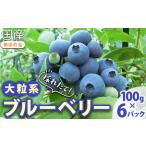 fu.... налог .. длина! крупный серия голубика 100g×6 упаковка *2026 год 5 месяц сверху .?7 месяц сверху . примерно . последовательный отправка предположительно префектура Аичи прекрасный . блок 