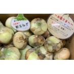 fu.... налог [Hope Will] новый шар лук порей Charlotte oni on 4kg * рассылка 2 месяц последняя декада ~6 месяц Hyogo префектура юг ... город 