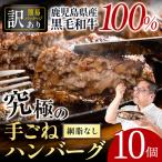 i579 網脂なし 黒毛和牛の究極の手ごねハンバーグ 100g×10個
