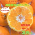 令和9年 予定 ぽんかん 3.5kg
