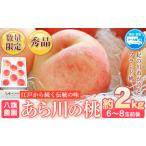 ふるさと納税 あら川の桃 化粧箱入 約2kg(6-8玉) 秀品 八旗農園《2025年6月下旬-8月下旬頃出荷》 和歌山県 紀の川市 桃山町 もも モモ 果物 .. 和歌山県紀の川市