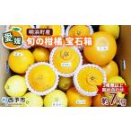 ※2027年2月上旬~4月上旬迄に 出荷予定