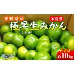 温州みかん 訳あり 果物 ミカン 柑橘 フルーツ