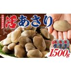 ふるさと納税 浜中産　活アサリ500ｇ×3袋セット【11月以降の発送予定】【230106】 北海道浜中町