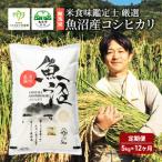 ふるさと納税 頒布 無洗米 米食味鑑定士 厳選 魚沼産 コシヒカリ 5kg 12ヶ月 連続お届け ( 米 定期便 お米 こめ コメ おこめ 白米 こしひかり 12.. 新潟県魚沼市