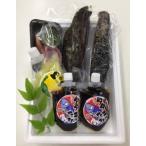 カツオ tts11鰹のタタキ2節セット
