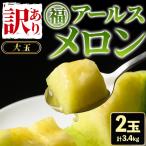 訳あり アールスメロン 2玉
