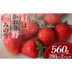 ショッピングふるさと納税 いちご ふるさと納税 いちご【3〜5月発送】恋みのり 紅ほっぺ かおり野 2パック×280g 完熟いちご 静岡県南伊豆町