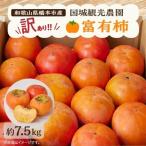 柿 国城観光農園の富有柿 訳あり 約7.5kg_果物