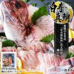 予定 まだい マダイ タイ たい 養殖 お魚 鯛めし