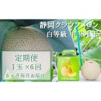 クラウンメロン ”極メロン” 1玉