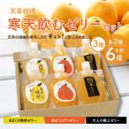 菓子 ゼリー S024-004_天草柑橘