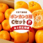 みかん 柑橘類 S040-T07A_ 定期便3回 天草 下浦特産ポンカン3種Cセット