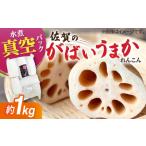 fu.... налог вода . renkon примерно 1kg( вакуум упаковка ) / renkon [IBN005] Saga префектура белый камень блок 