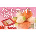 ふるさと納税 【先行予約】白いちご「淡雪」＆「パールホワイト」食べ比べ セット 計440g / いちご [ICQ001] 佐賀県白石町