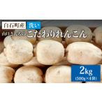 ふるさと納税 【農家直送！】洗い れんこん 2kg（500g×4袋）〜山口さんちの贈り物〜【y'scompany】 [IAS003] 佐賀県白石町