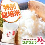 令和8年産 特別栽培米 さがびより10kg