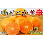 果物 くだものフルーツ 柑橘類 ミカン みかん