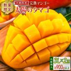 2027年出荷 宮崎 完熟マンゴー 太陽のタマゴ 3L×2玉