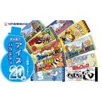ふるさと納税 竹下製菓アイスバラエティ20本セット B130-062 アイス 冷凍 アイススイーツ アイスデザート 人気 ブラックモンブラン 九州のソウル.. 佐賀県小城市