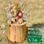 花 苗木 ソロ ドライフラワー 入り 研き 本体