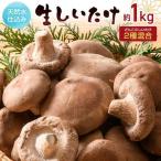 天然水仕込み生しいたけ 2種混合 約1kg