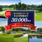 ゴルフ 利用券 30,000円分