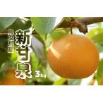 ふるさと納税 梨 新甘泉 約3kg 5〜12玉前後 先行予約 2026年秋収穫分 鳥取県産 なし しんかんせん 3キロ TM29 0685 鳥取県江府町