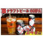 ふるさと納税 クラフトビール 24缶 69IPA クラフトビール 静岡県沼津市
