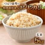 特別栽培米コシヒカリ 玄米 5kg