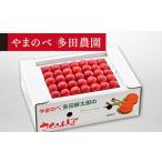 2027年産 佐藤錦 本詰め 約500g