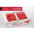 2027年産 佐藤錦 バラ詰め パック 1kg