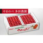 2027年産 佐藤錦 本詰 約1kg