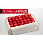 2027年産 特選紅秀峰 桐箱詰め 約500g