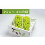 ショッピングふるさと納税 先行予約 ふるさと納税 《先行予約》2026年やまのべ多田農園 シャインマスカット (2~3房入り) F20A-894 山形県山辺町